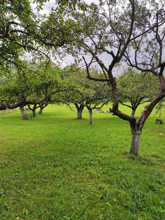 Jabloniowy Sad Kalwaria Paclawska Villa Dış mekan fotoğraf