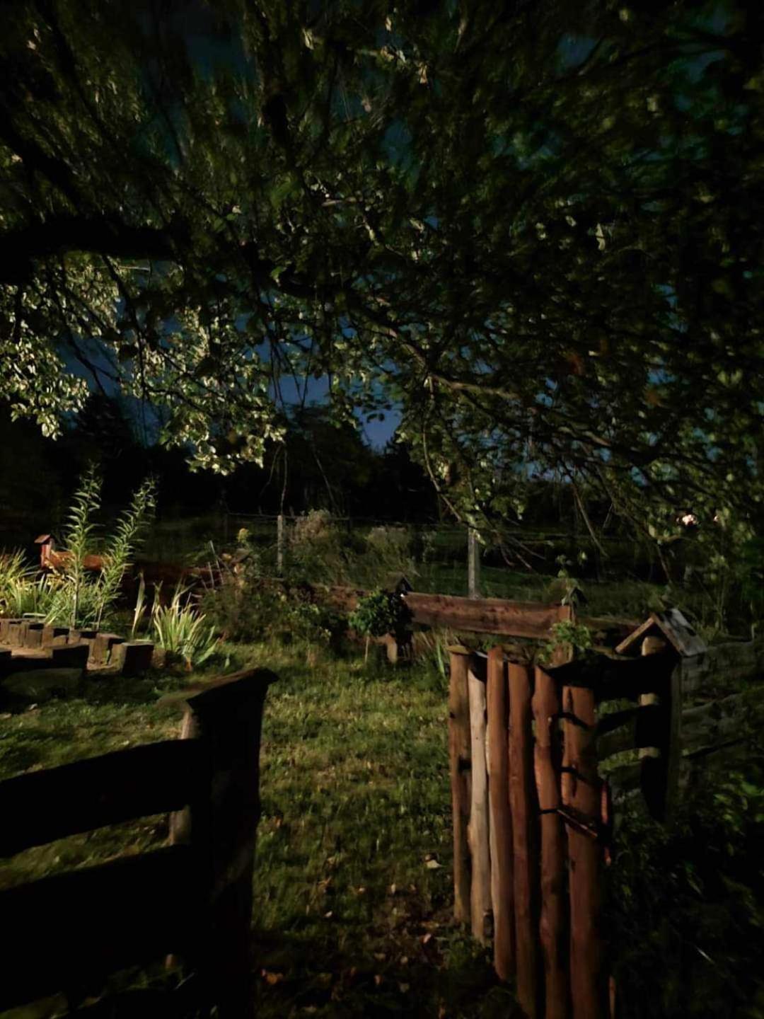 Jabloniowy Sad Kalwaria Paclawska Villa Dış mekan fotoğraf